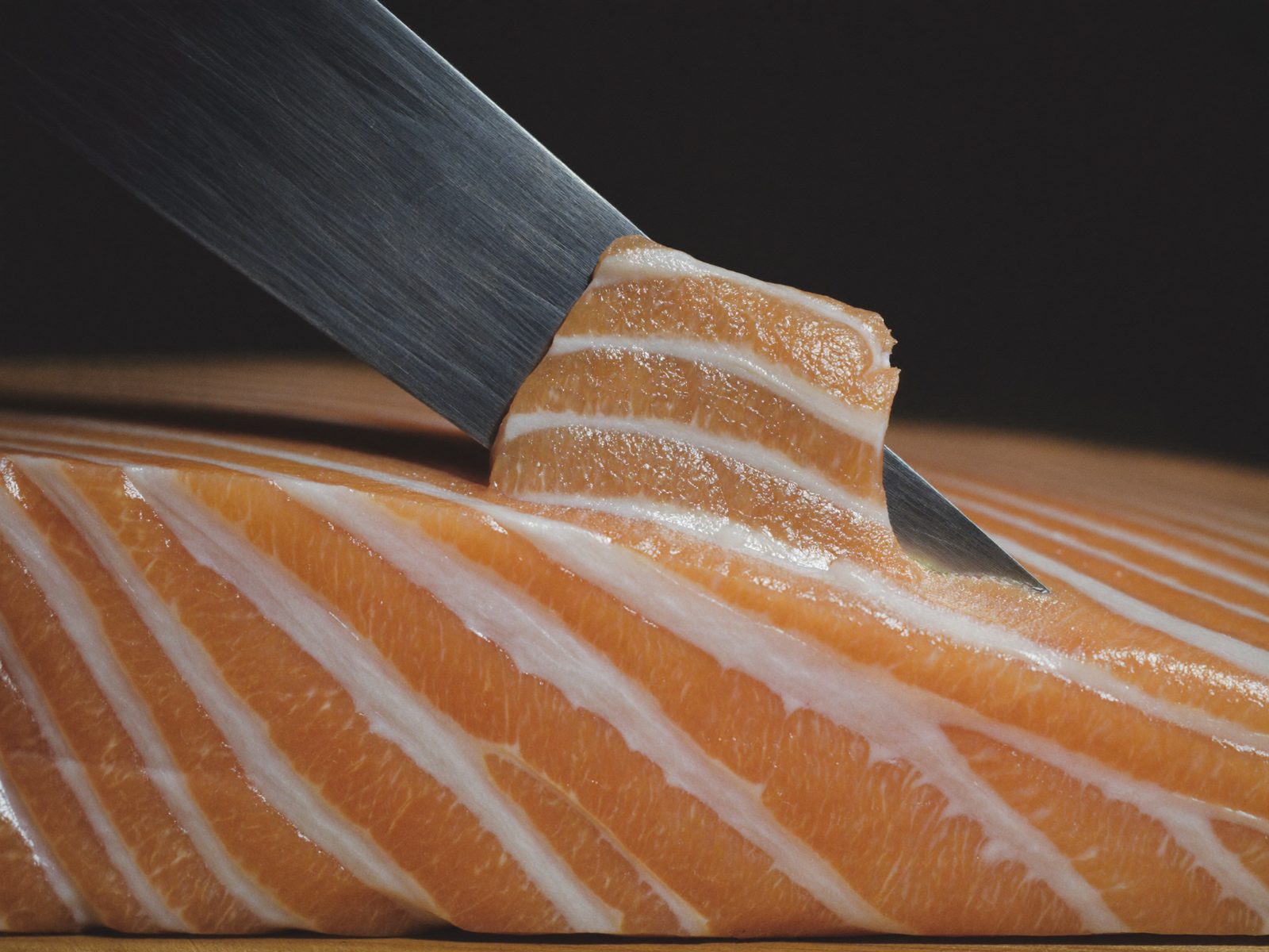 A sujihiki blade drawn once through chilled Hokkaido salmon belly, a translucent slice separating